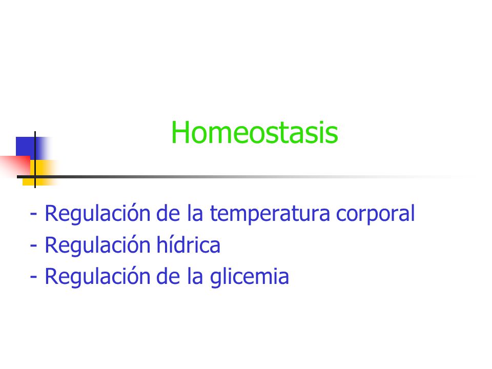 Regulación de la glucosa y la presión sanguínea en el cuerpo